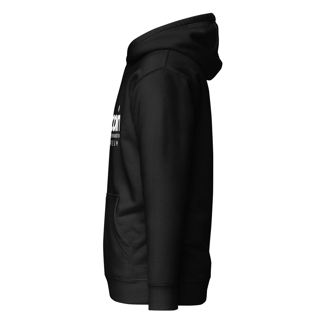 Bitcoin Because No One Asked For Ethereum - Hoodie